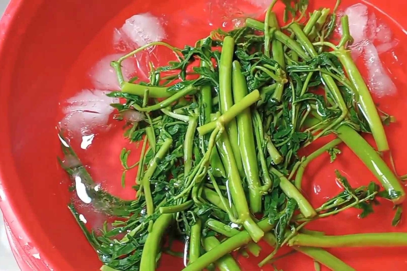 gỏi tôm rau nhút hình 5