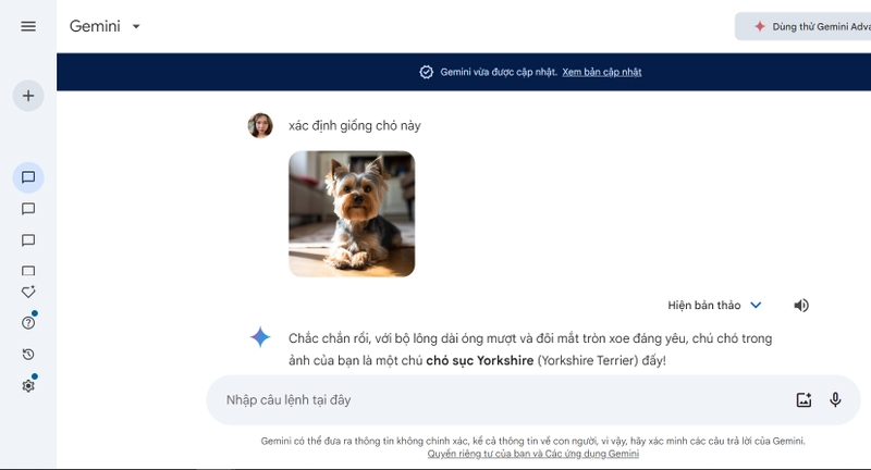 Google Bard tiếng Việt hình 2