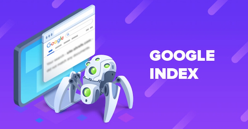 Có nhiều nguyên nhân dẫn đến việc trang web bị Google index chậm