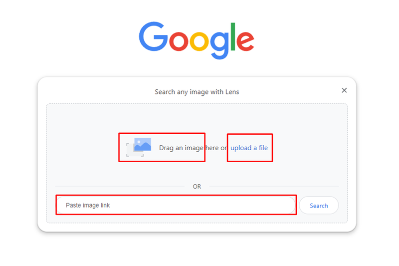 cách dùng Google Lens (hình 3)