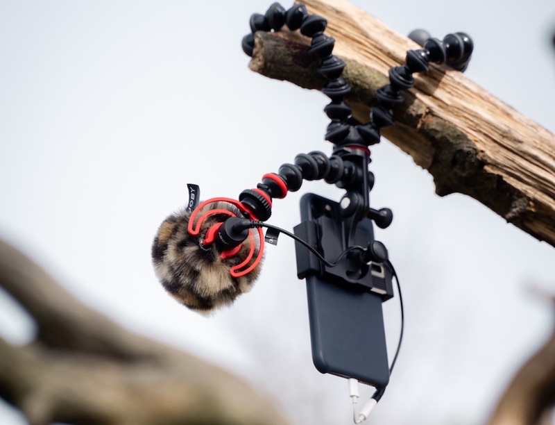gorillapod ảnh 4