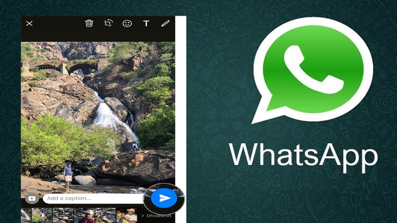 gửi nhiều hình ảnh cùng lúc trên WhatsApp 7