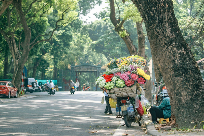 Hà Nội tháng 10 có gì đẹp 10