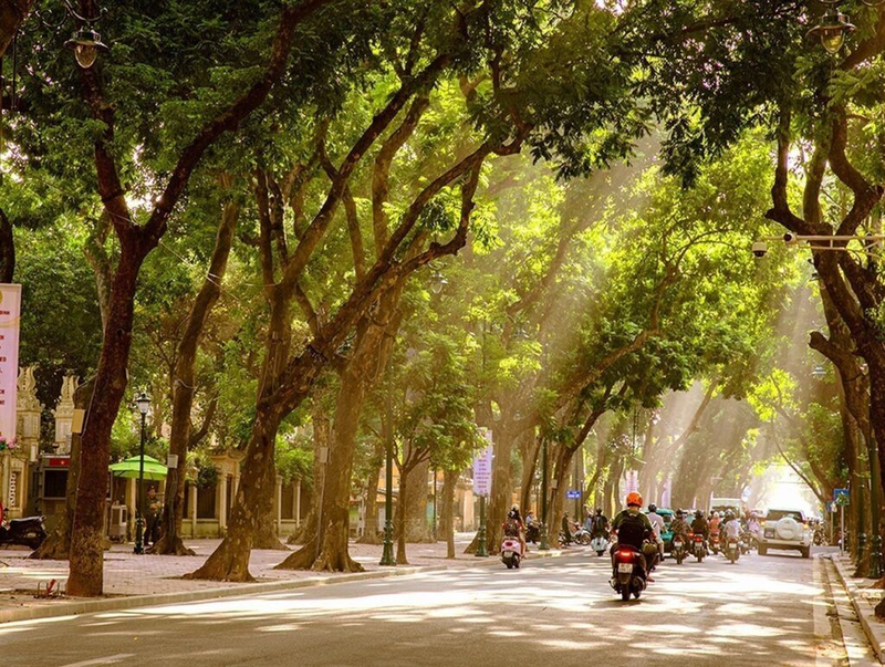 Hà Nội tháng 10 có gì đẹp 7