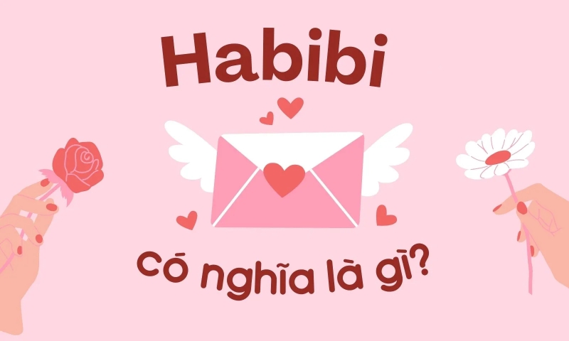 Habibi là gì (ảnh 1)