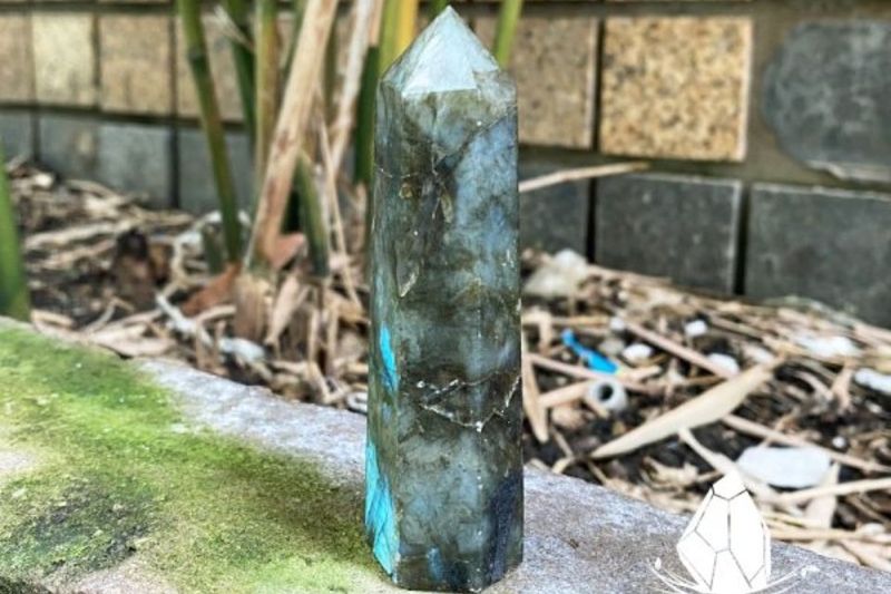 hắc nguyệt quang là gì (ảnh 5)