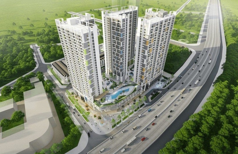 Hacinco là gì ảnh 2