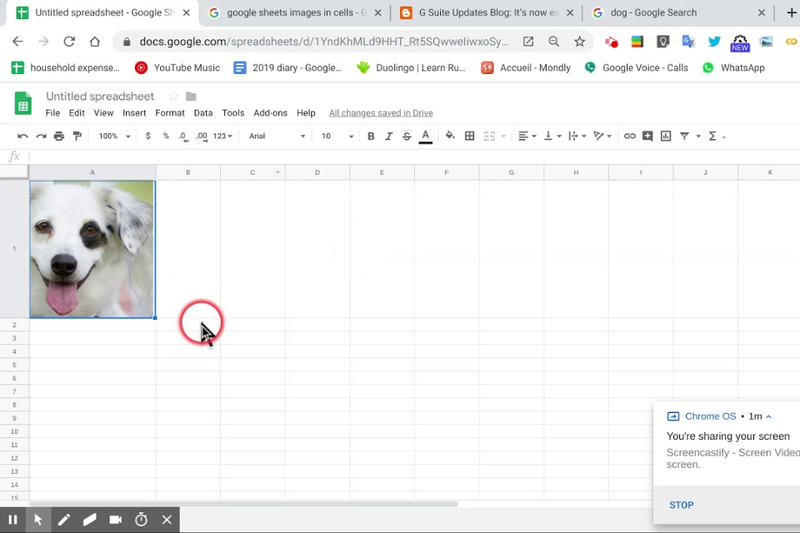 Hàm IMAGE trong Google Sheet (5)