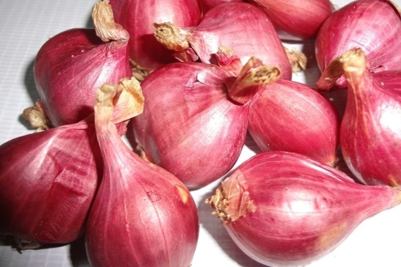 Cách chọn mua hành tím ngon