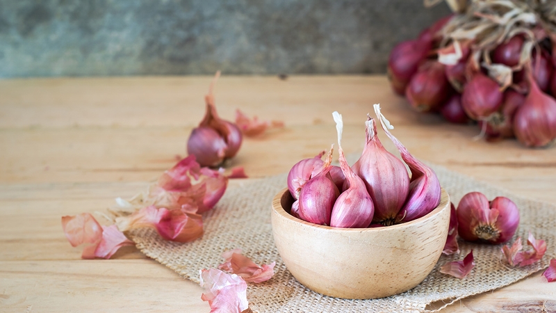 Hành tím (ảnh 2)