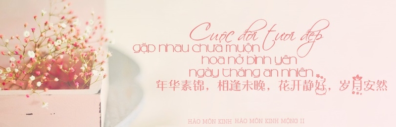 Hào môn kinh mộng 2 ảnh 3