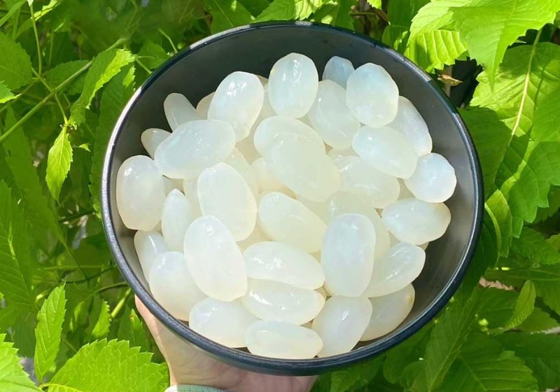 hạt đác và thốt nốt 2