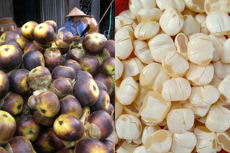 hạt đác và thốt nốt 3