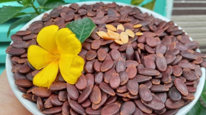 Hạt dưa 3