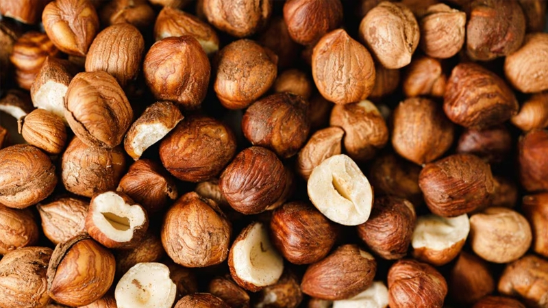 hạt Hazelnut được mệnh danh là "siêu thực phẩm" nhờ độ dinh dưỡng cao