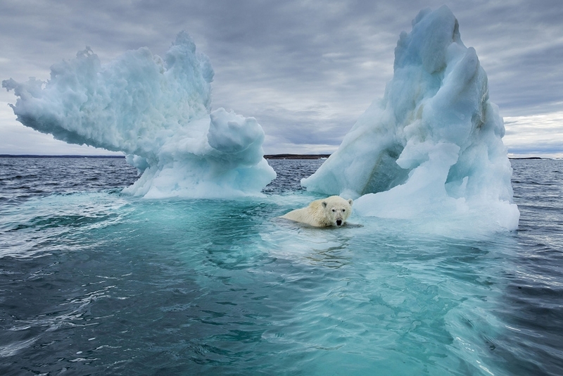 hậu quả của biến đổi khí hậu 7.jpg