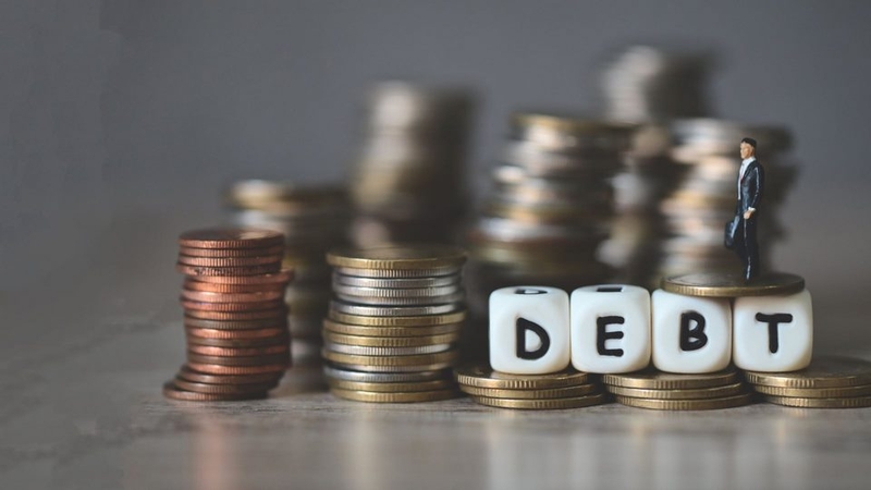 Phản ánh khả năng trang trải nợ