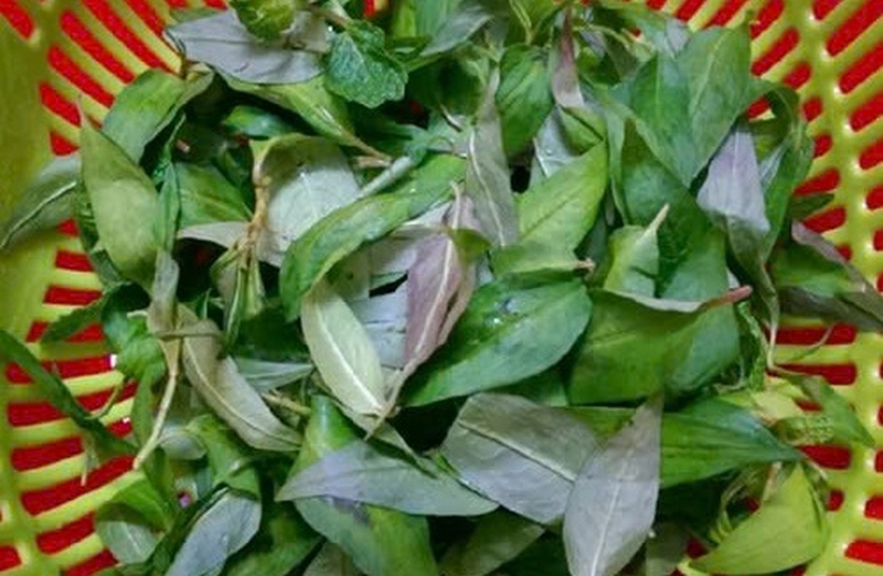 Cách làm hến xào rau răm lạ miệng, xúc bánh tráng đổi vị cho gia đình