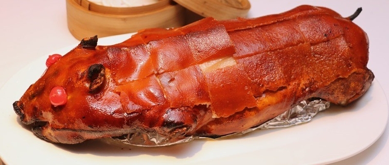 Heo sữa 4