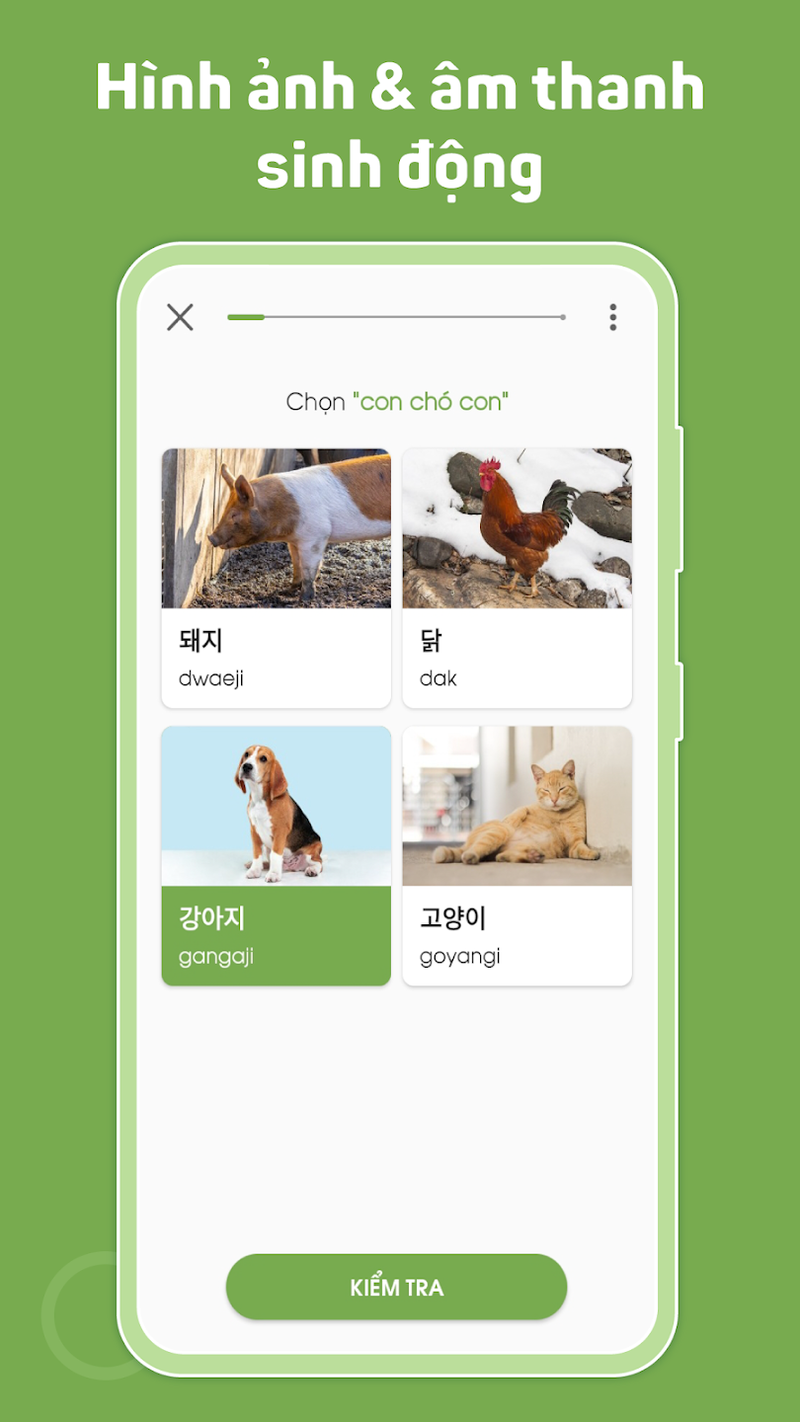 heykorea - hình 3
