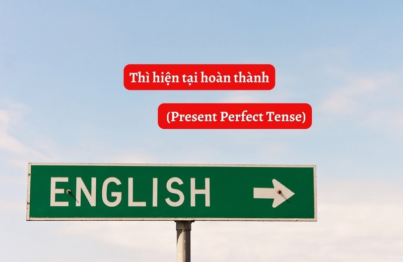 hiện tại hoàn thành là gì ảnh 1