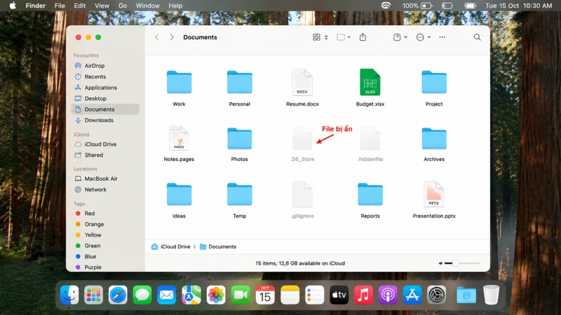 Những lưu ý khi hiển thị file bị ẩn trên MacBook