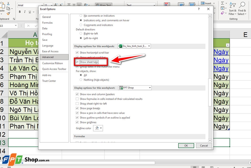 Cách hiển thị Sheet Tab trong Excel - 06