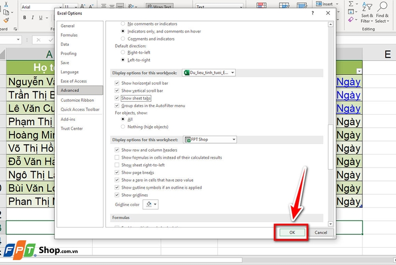 Cách hiển thị Sheet Tab trong Excel - 0