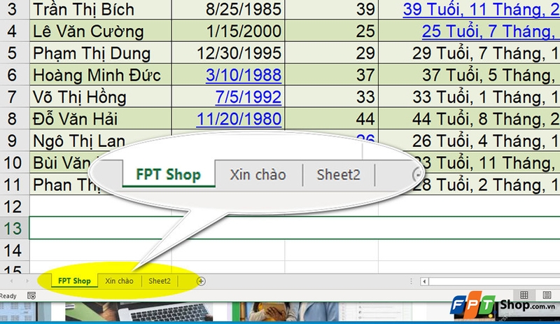 Cách hiển thị Sheet Tab trong Excel - 08