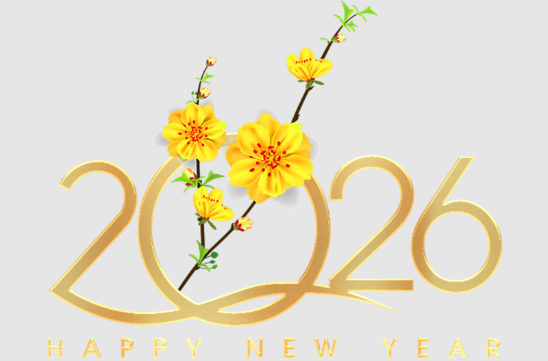 hinh anh chuc mung nam moi 2026 chu de hoa mai vang