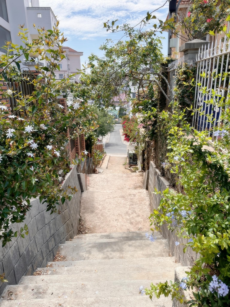 hình ảnh Đà lạt hình 17