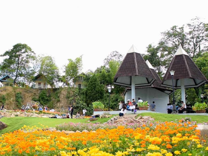 hình ảnh Đà lạt hình 7