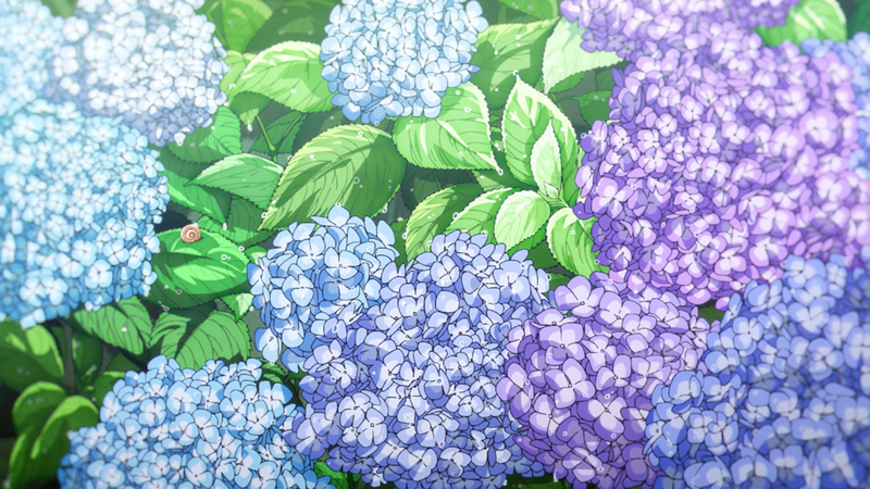 Hình ảnh hoa cẩm tú cầu anime 1