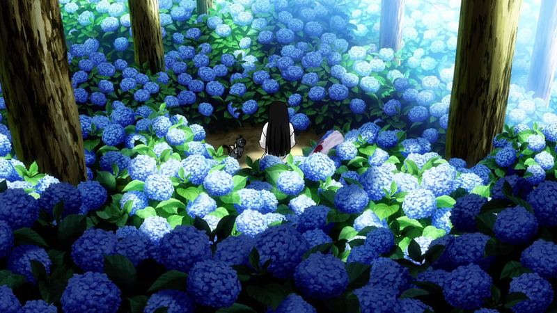 Hình ảnh hoa cẩm tú cầu anime 3