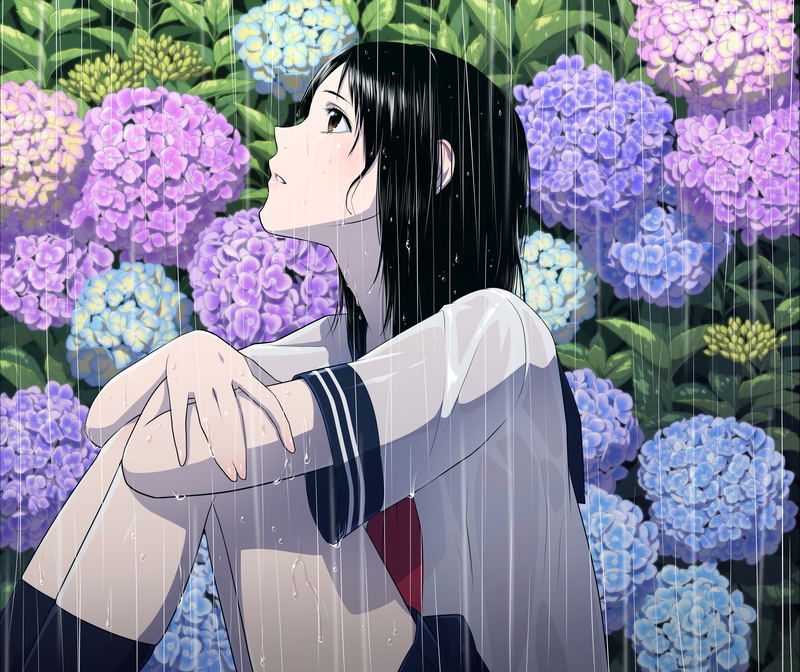 Hình ảnh hoa cẩm tú cầu anime 5