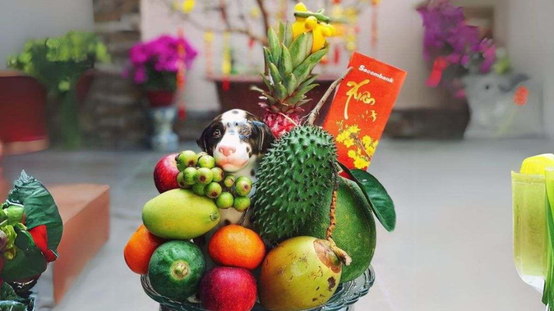 hình ảnh mâm ngũ quả đẹp nhất 6