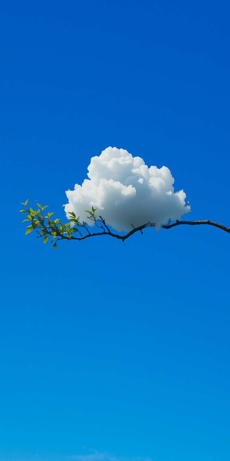 Hình nền iPhone cute 13