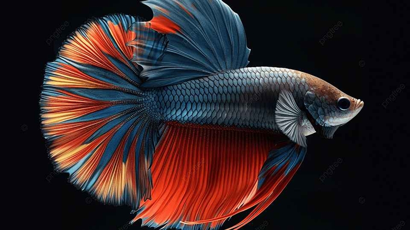 Hình nền cá 3D tĩnh lặng và độc đáo