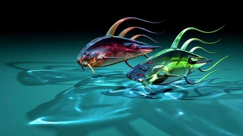 Theo dõi các mẫu hình nền cá 3D