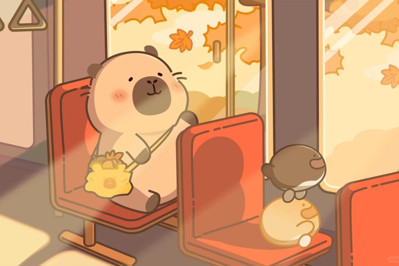 Hình nền capybara cute 18