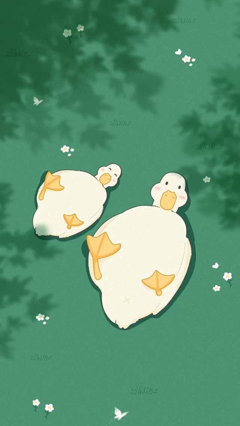 Hình nền con vịt dành cho điện thoại 4