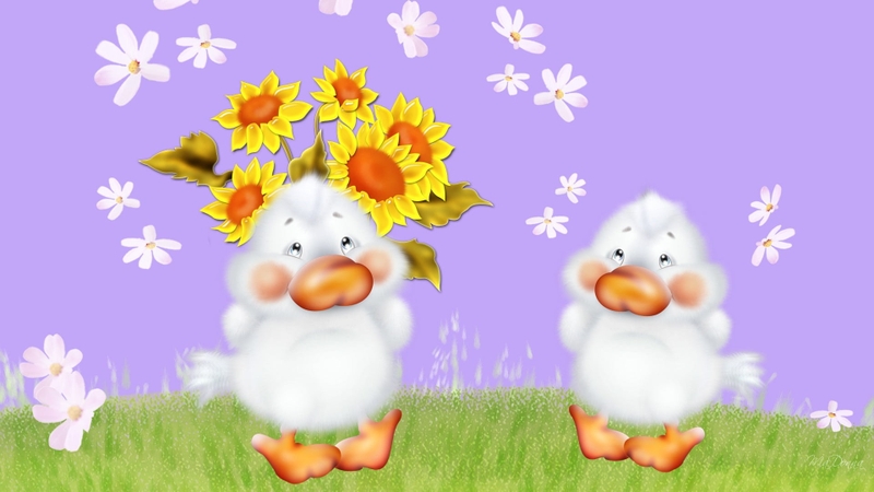 Hình nền con vịt dành cho máy tính 9