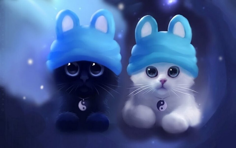 Các mẫu hình nền mèo đáng yêu