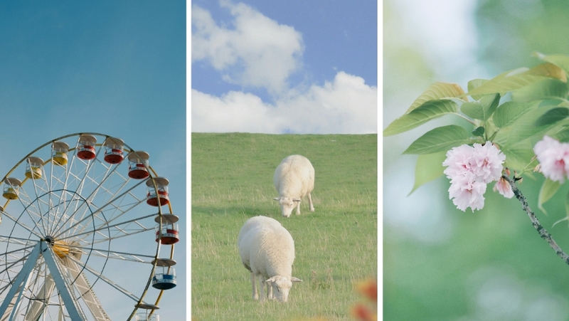 Hình nền điện thoại đơn giản dạng ảnh chụp (hình 1)