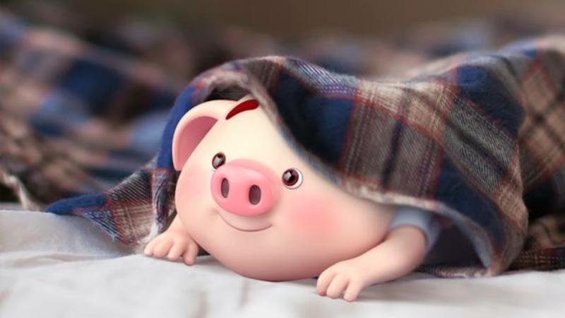 Hình nền động vật dễ thương 5