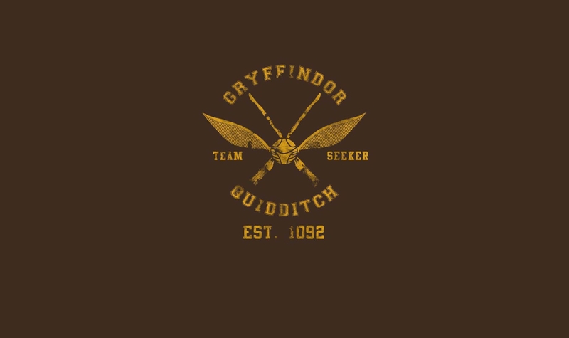 hình nền Harry Potter hình 22