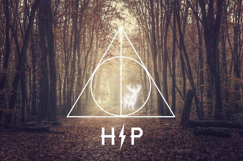 hình nền Harry Potter hình 25