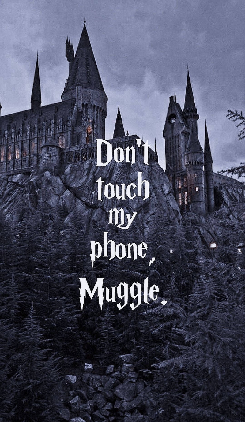 hình nền Harry Potter hình 32