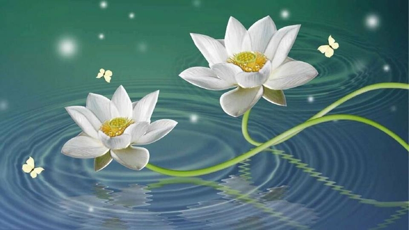 Ảnh nền hoa sen 4K cho máy tính