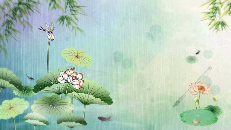 Lý do hình nên hoa sen 3D được ưa chuộng